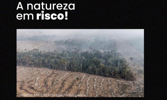 No Dia do Meio Ambiente, CRBio-05 alerta para dados alarmantes que afetam o planeta